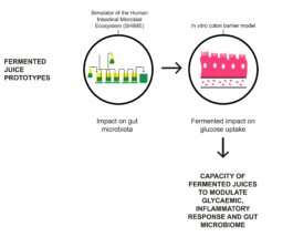 smartjuice