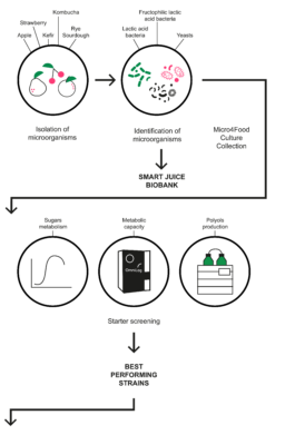 smartjuice